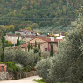 LigaDue, CC BY-SA 4.0 , via Wikimedia Commons