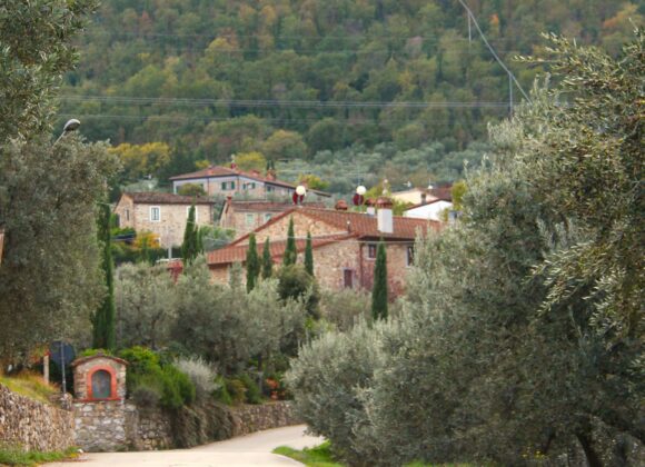 LigaDue, CC BY-SA 4.0 , via Wikimedia Commons