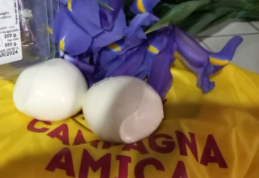 Visit Quarrata_Campagna Amica