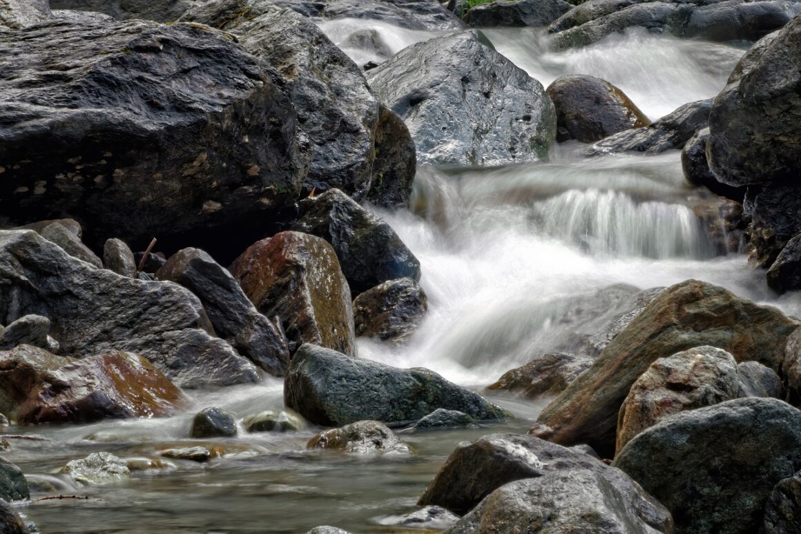 Torrente Furba Torrente Furba